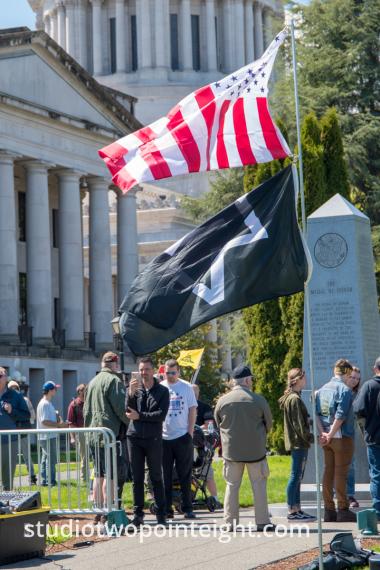 March For Our Rights 2.0, Gun Rights Rally, 2019 April 27, Olympia, Washington Tall Photos
