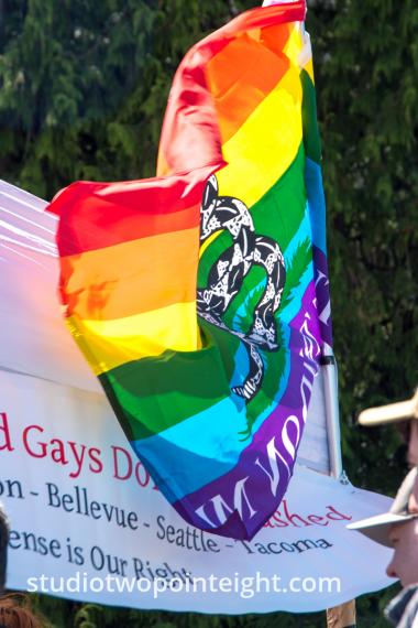 March For Our Rights 2.0, Gun Rights Rally, 2019 April 27, RainBow Don't Tread On Me Flag